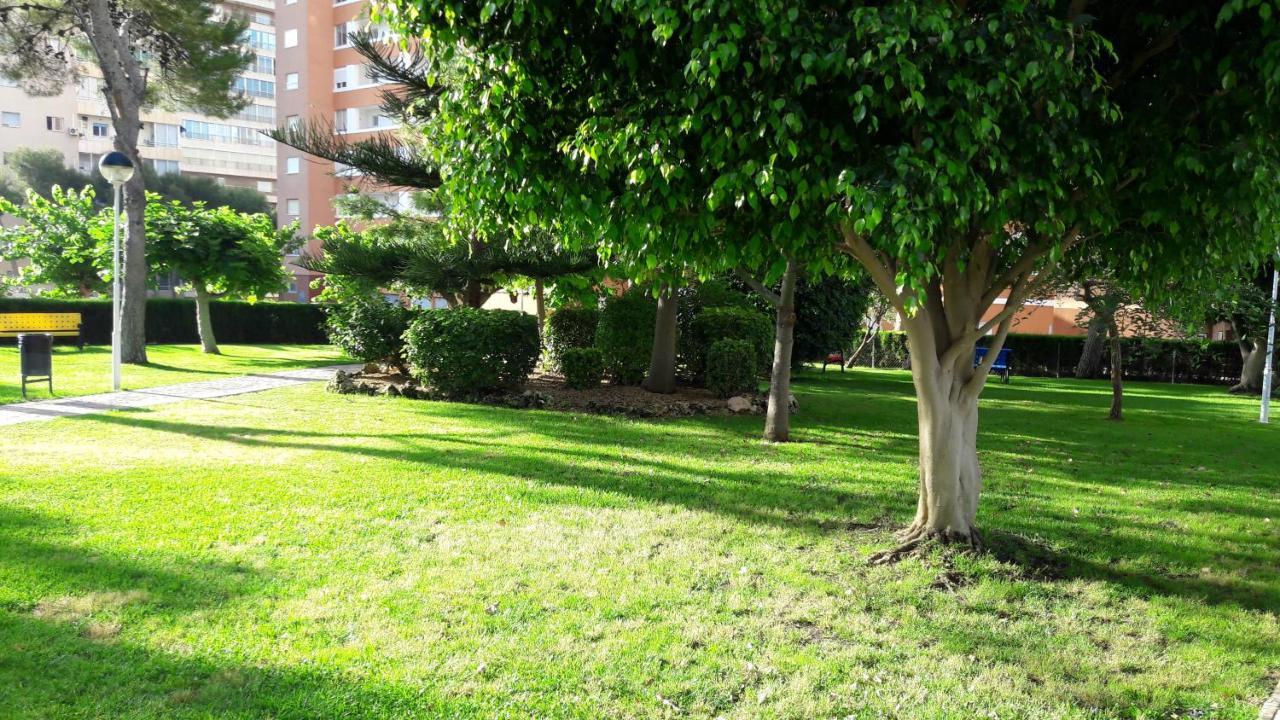Apartamento Edificio Provima B 5 Benidorm Extérieur photo